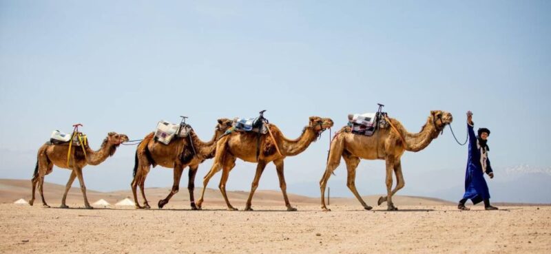 From Marrakech: 1-Hour Sunset Camel Ride in Agafay Desert - Inclusions