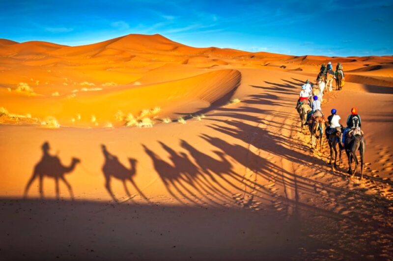 From Marrakech: 2-Day Desert Safari to Zagora & Ben Haddou - Key Points