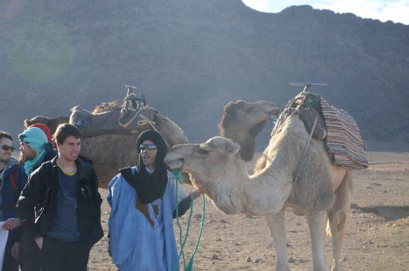 From Marrakech: 2-Day Sahara Tour to Zagora & Ait Ben Haddou - Key Points