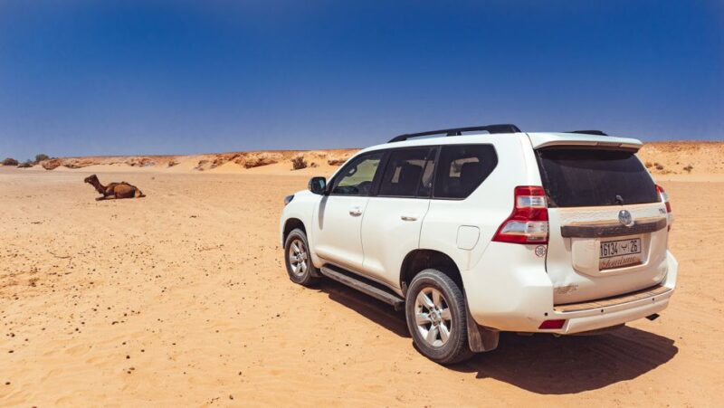 From Marrakech: 3 Day Desert Tour to Erg Chegaga - Itinerary Highlights
