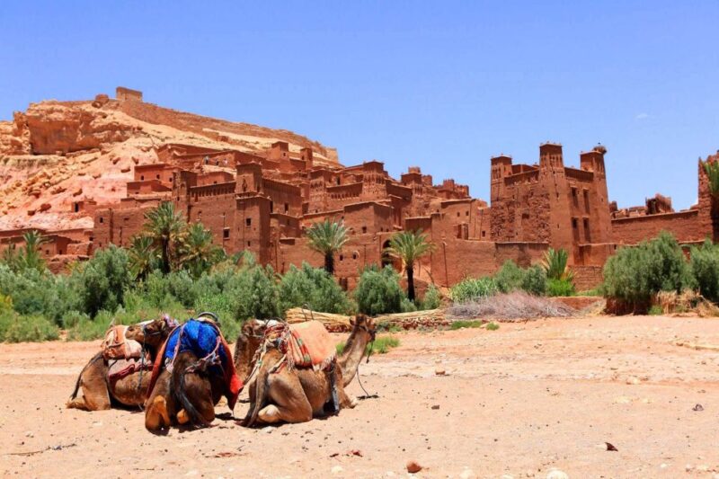 From Marrakech: 3 Day Desert Tour to Erg Chegaga - Included Features