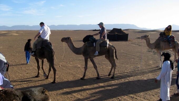 From Marrakech: 3-Day Desert Tour to Fes - Customer Feedback