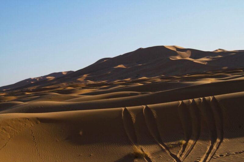 From Marrakech: 3-Day Desert Tour to Merzouga Erg Chebbi - Day 2: Oasis and Canyons
