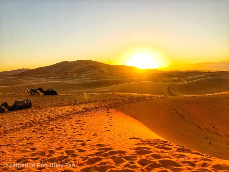 From Marrakech: 3-Day Desert Tour to Merzouga Erg Chebbi - Day 3: Returning to Marrakech