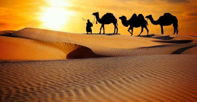 From Marrakech: 3 Day Desert Trip to Fes - Additional Information