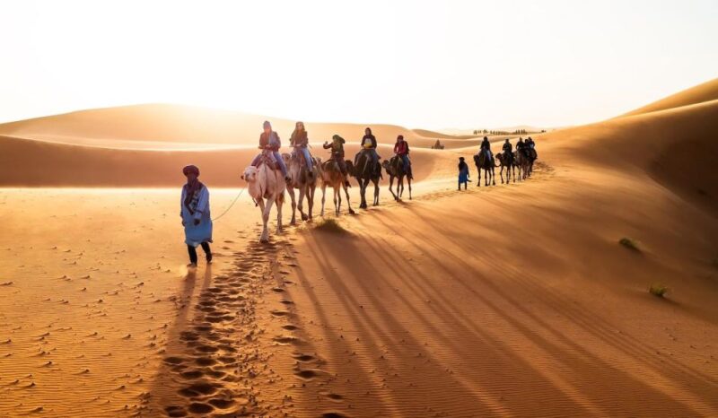 From Marrakech: 3-Day Luxury Desert Tour to Fes via Merzouga - Itinerary Highlights
