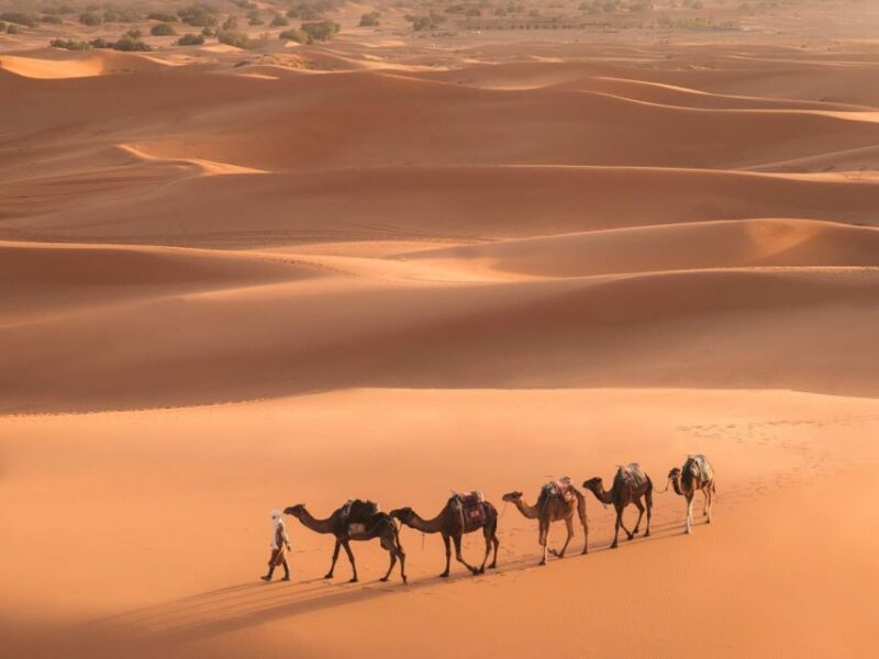 From Marrakech: 3-Day Merzouga and Sahara Desert Tour - Experience Highlights