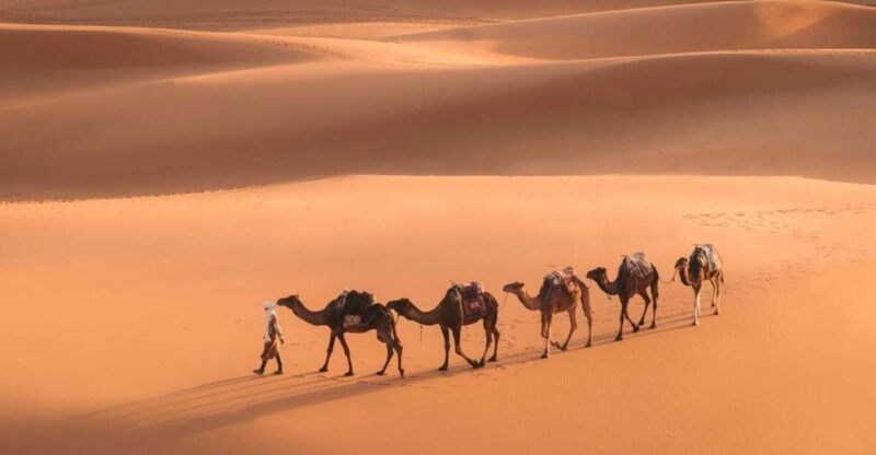 From Marrakech: 3-Day Merzouga and Sahara Desert Tour - Itinerary Details