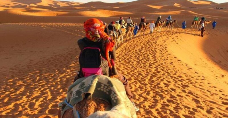 From Marrakech : 3-Day Sahara Desert Safari With Food & Camp - Key Points