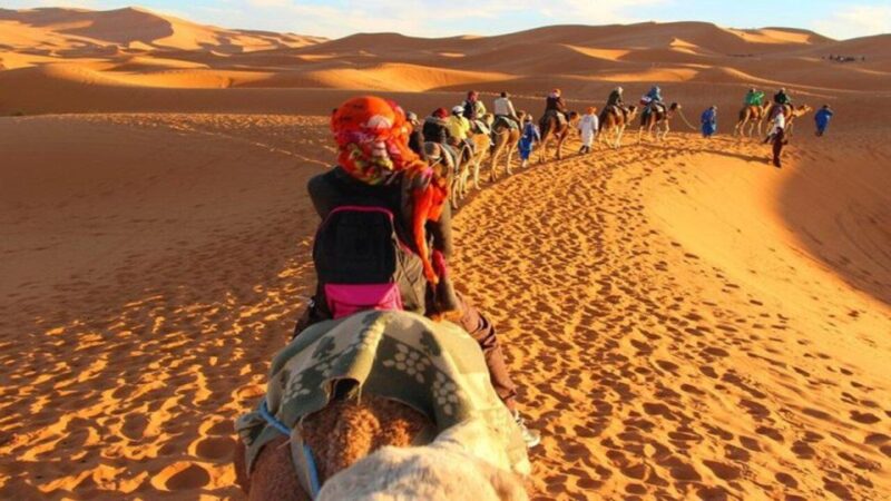 From Marrakech : 3-Day Sahara Desert Safari With Food & Camp - Accommodations and Inclusions