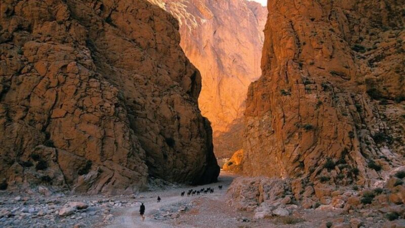 From Marrakech : 3-Day Sahara Desert Safari With Food & Camp - Additional Tour Information