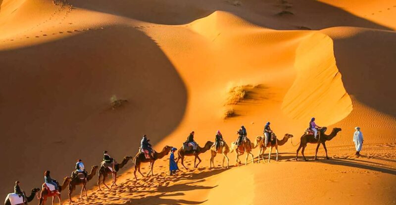 From Marrakech 3-Day Sahara Desert Trip to Merzouga - Included Services