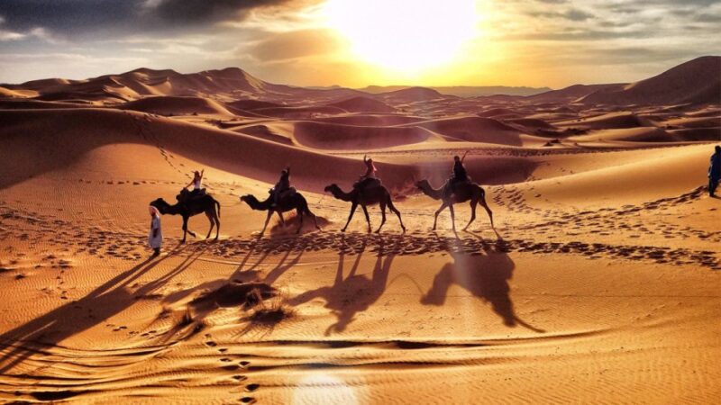 From Marrakech : 3-Day Tour To Fez Via Merzouga Desert - Day 3 Itinerary