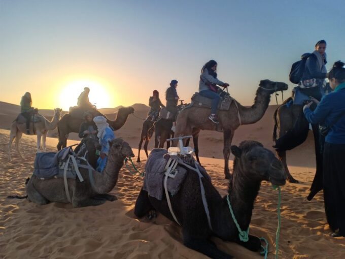 From Marrakech: 3-Day Trip to Fes via Merzouga Desert - Customer Feedback