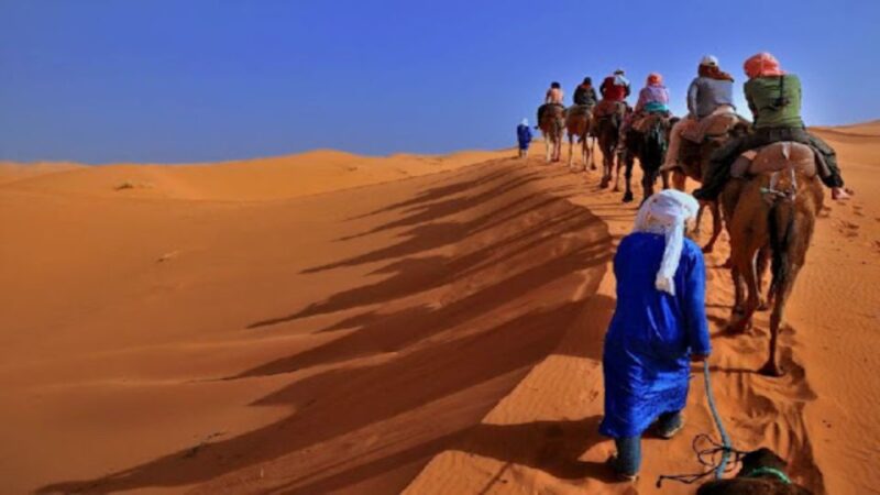 From Marrakech : 4 Days Private Desert To Zagora & Merzouga - Itinerary Highlights
