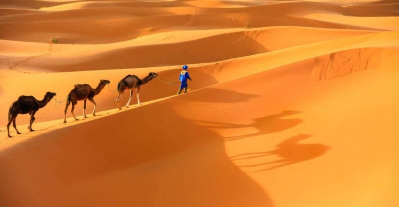 From Marrakech : 4 Days Private Desert To Zagora & Merzouga - Pickup and Cancellation