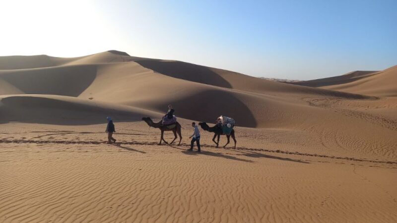 From Marrakech : 5-Day Exploring Tour to Erg Chebbi Desert - Key Points