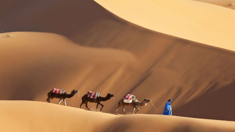 From Marrakech : 5-Day Exploring Tour to Erg Chebbi Desert - Inclusions