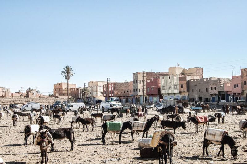 From Marrakech : 6 Days Sahara Desert Tour & Camel Ride - Key Points