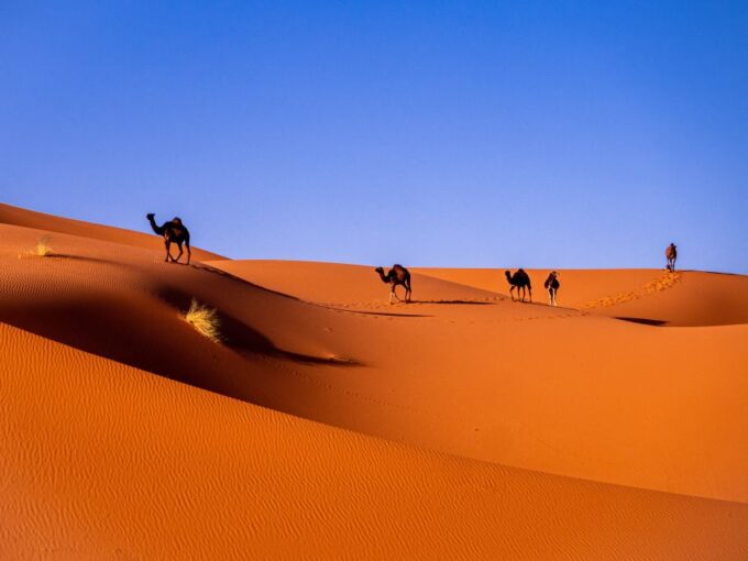 From Marrakech : 6 Days Sahara Desert Tour & Camel Ride - Booking and Cancellation