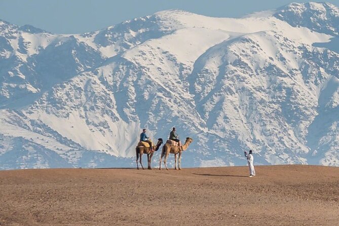 From Marrakech: Agafay Desert Camel Experience - Reviews and Ratings