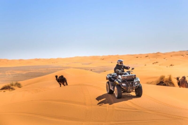From Marrakech: Agafay Desert Dinner With Quad or Camel Ride - Key Points
