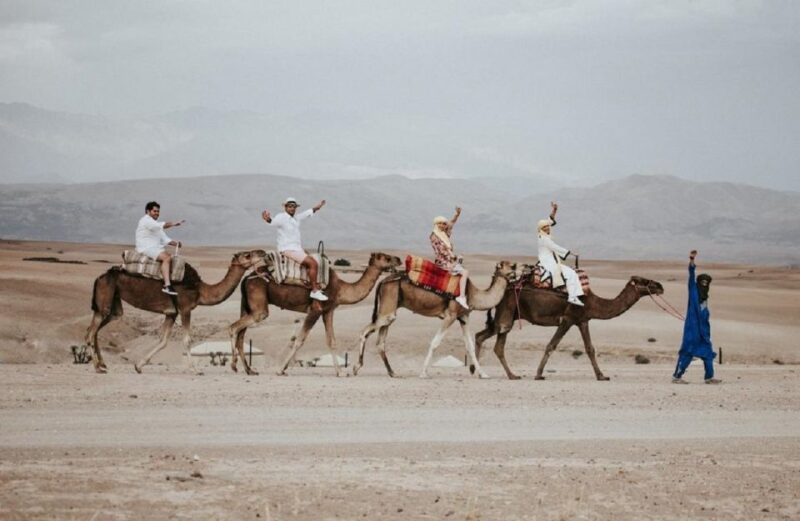 From Marrakech: Agafay Desert Sunset Camel Ride - Highlights of the Experience