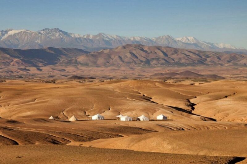 From Marrakech: Agafay Desert Sunset Camel Ride - Languages Spoken