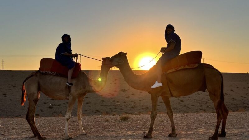 From Marrakech : Agafay Desert Sunset, Camel Ride,and Dinner - Sunset Viewing and Dinner