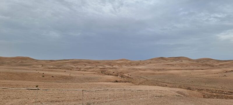 From Marrakech: Agafay Desert Sunset Dinner With Live Music - Key Points