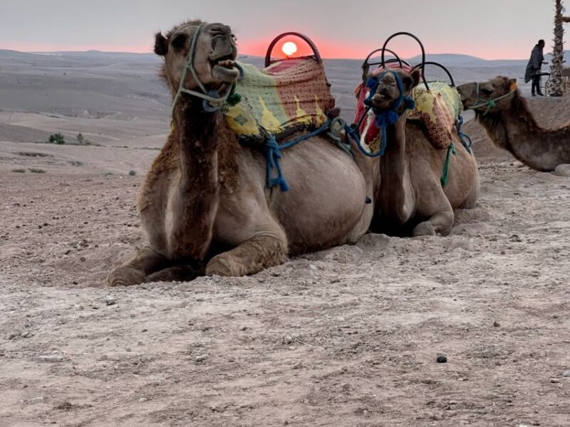 From Marrakech: Agafay Desert Sunset, Quad Biking, & Dinner - Scenic Highlights