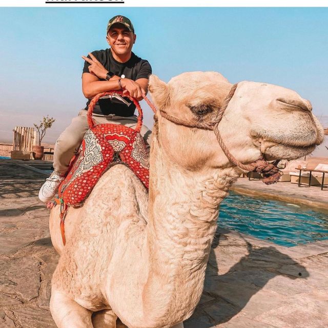 From Marrakech Agafay Pro Pack Sunset Camel Ride & Dinner - Camel Ride and Activities