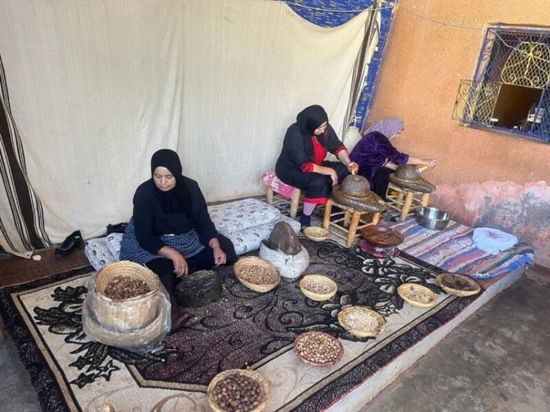 From Marrakech: Atlas, 3 Valleys, Berber Home, & Camel Ride - Scenic Landscapes and Trails