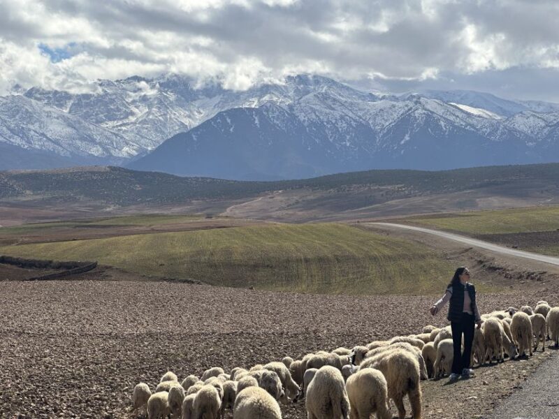 From Marrakech: Atlas Mountains 4-Day Hike With Hotels - Daily Itinerary