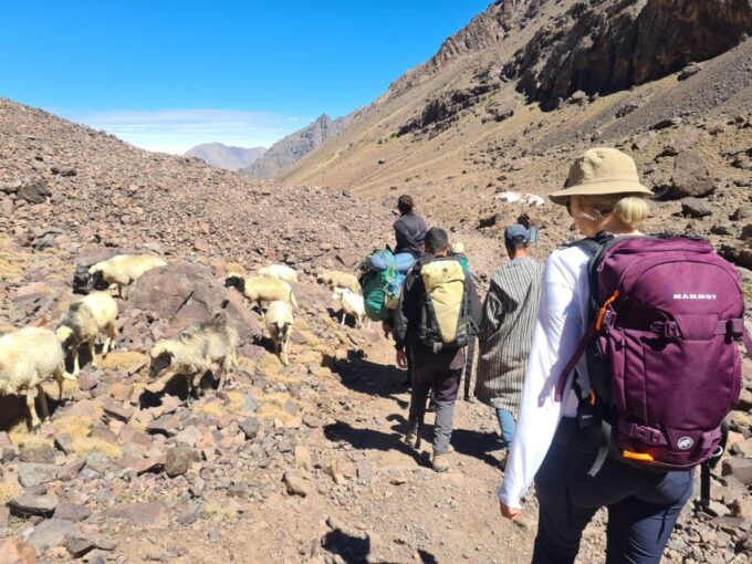 From Marrakech: Atlas Mountains 4-Day Hike With Hotels - Participant Reviews