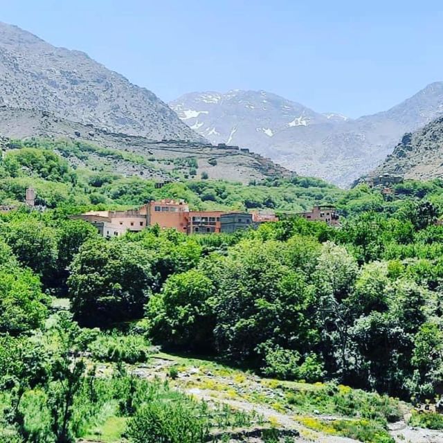 From Marrakech: Atlas Mountains and Berber Village Day Trip - Customer Feedback and Ratings