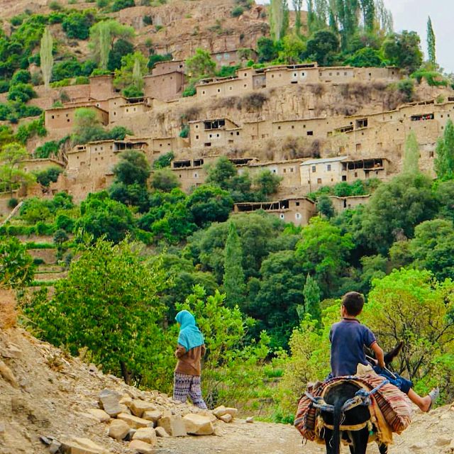 From Marrakech: Atlas Mountains and Berber Village Day Trip - Frequently Asked Questions
