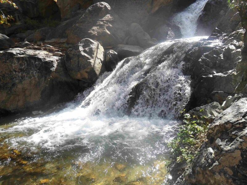 From Marrakech: Atlas Mountains and Ourika Valley Tour - Customer Feedback