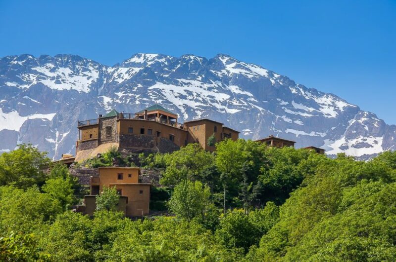 From Marrakech: Atlas Mountains Day Trip With Camel Ride - Cultural Experience