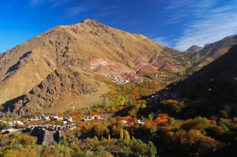 From Marrakech: Atlas Mountains Day Trip With Camel Ride - Included Amenities