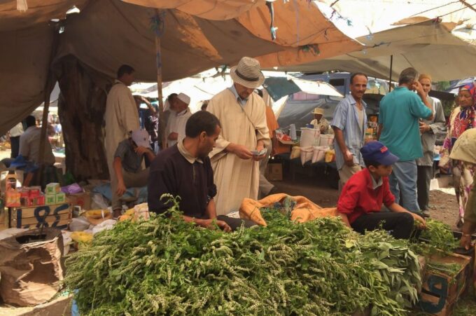 From Marrakech: Atlas Mountains Day Trip With Camel Ride - Frequently Asked Questions