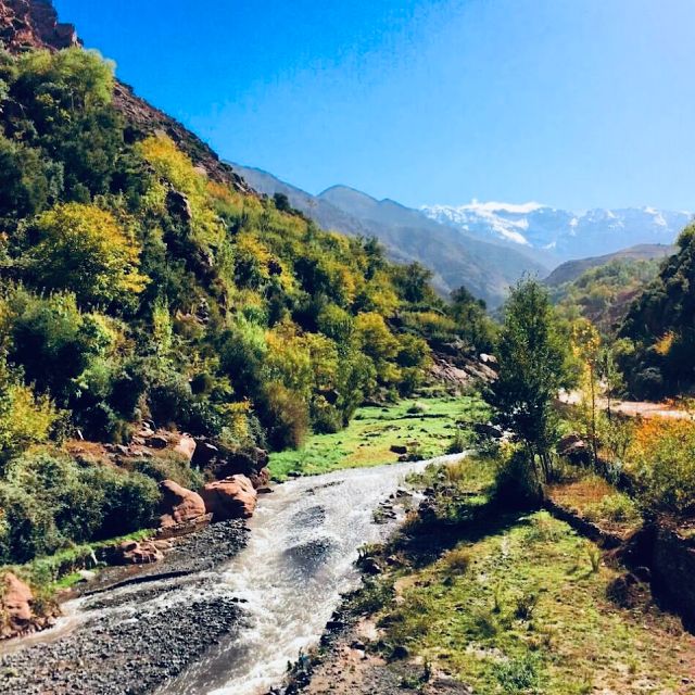 From Marrakech: Atlas Mountains & Toubkal Museum Day Tour - Scenic Drive and Stops