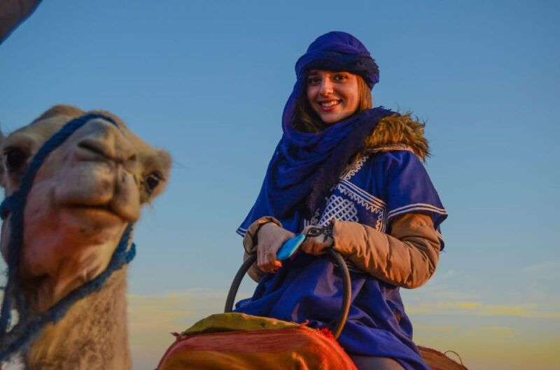From Marrakech: Camel Ride in the Oasis Palmeraie Grove - Key Points