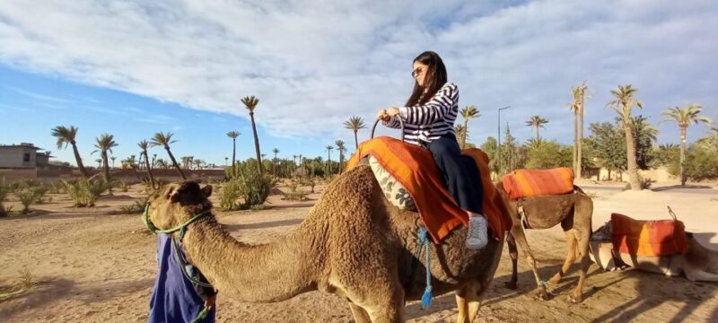 From Marrakech: Camel Ride in the Oasis Palmeraie Grove - Cancellation Policy