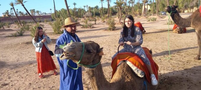 From Marrakech: Camel Ride in the Oasis Palmeraie Grove - Pricing and Savings