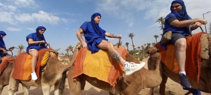 From Marrakech: Camel Ride in the Oasis Palmeraie Grove - Frequently Asked Questions
