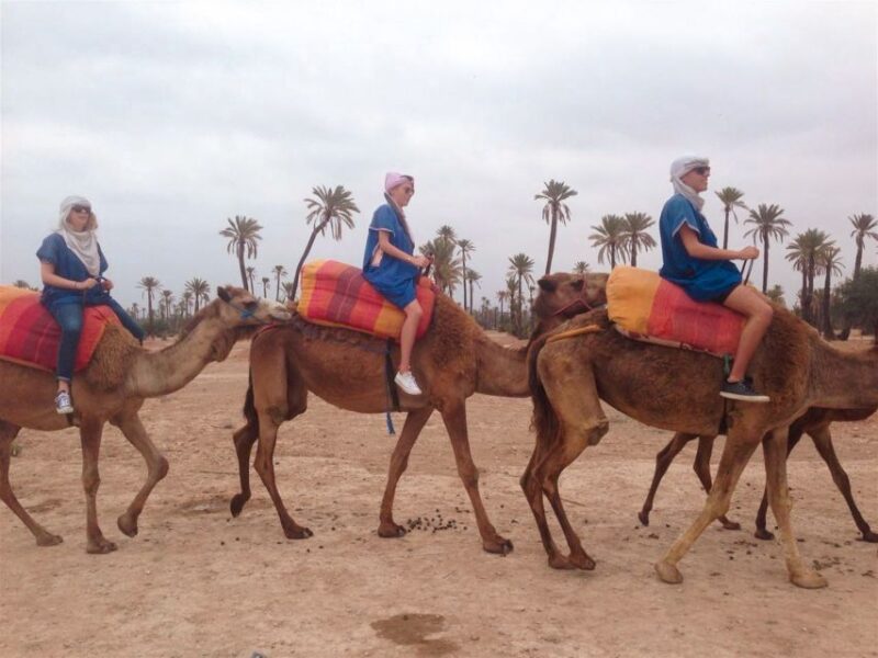 From Marrakech: Camel Ride, Quad Bike & Spa Full-Day Trip - Itinerary and Experience