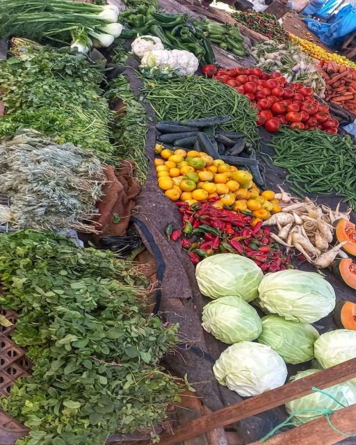From Marrakech : Cooking Classe With a Local Chef - Participant Demographics and Reviews