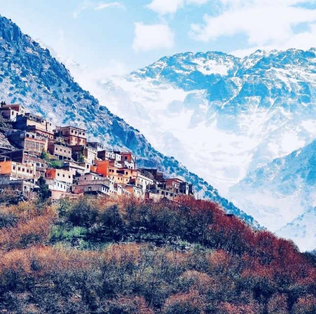 From Marrakech: Day Trip to Anima Garden and Imlil Valley - Itinerary Highlights