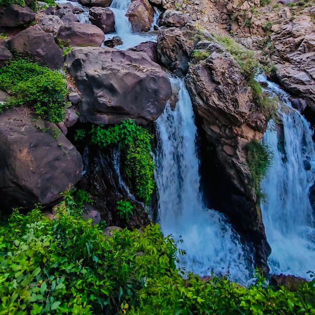 From Marrakech: Day Trip to Anima Garden and Imlil Valley - Participant Requirements